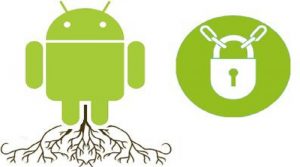 rooted android now what